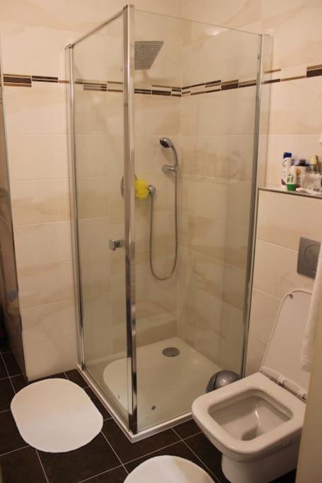 Prague Vysehradska Apartment Apartment Prag